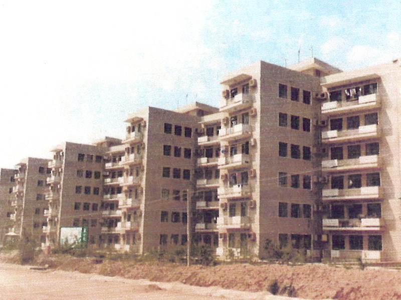 Bamboo Villa, Shenzhen, China (1980)